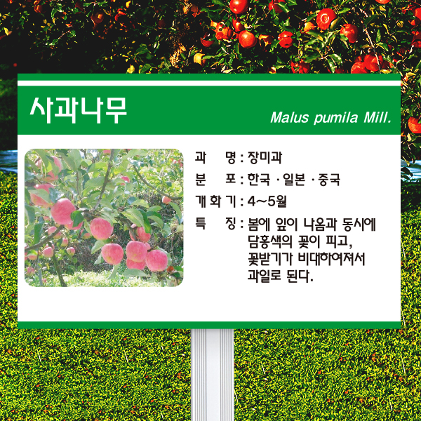수목표찰 고정형 225x150 알루미늄대 초록3띠 사각 꽂이형