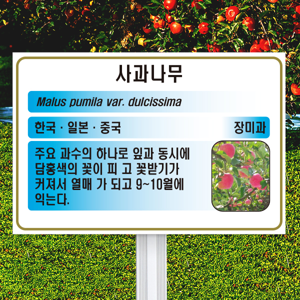 수목표찰 고정형 225x150 알루미늄대 하늘색 사각 꽂이형