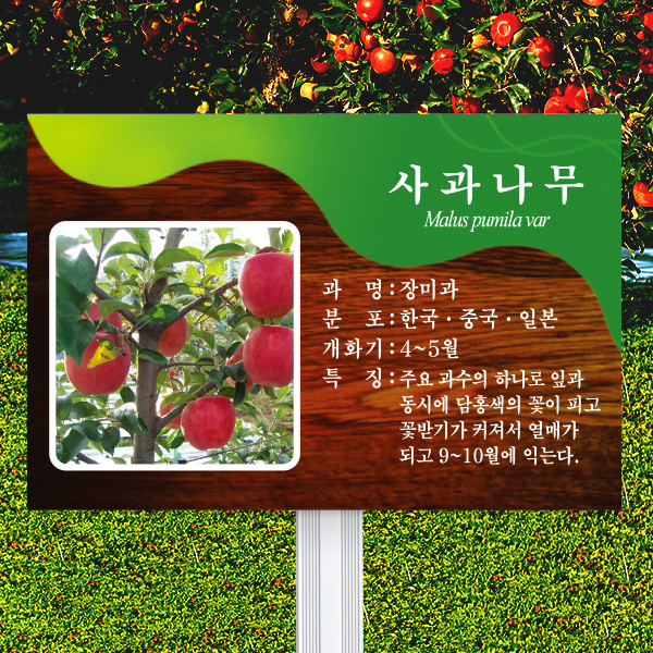 수목표찰 고정형 225x150 알루미늄대 체리목 사각 꽂이형