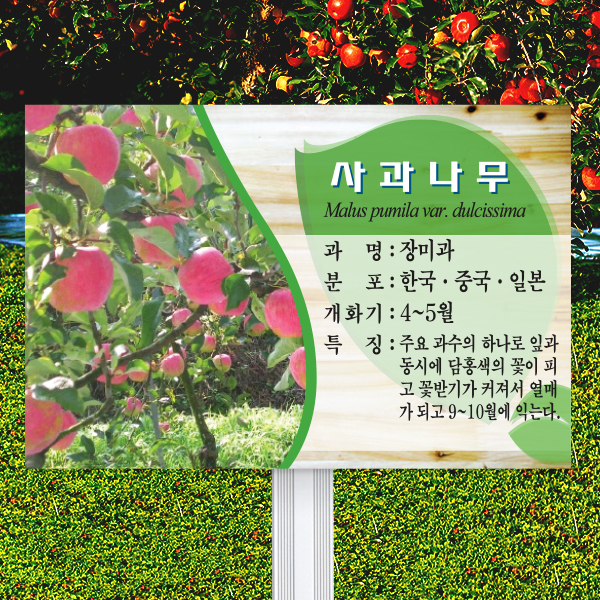 수목표찰 고정형 225x150 알루미늄대 미송 사각 꽂이형