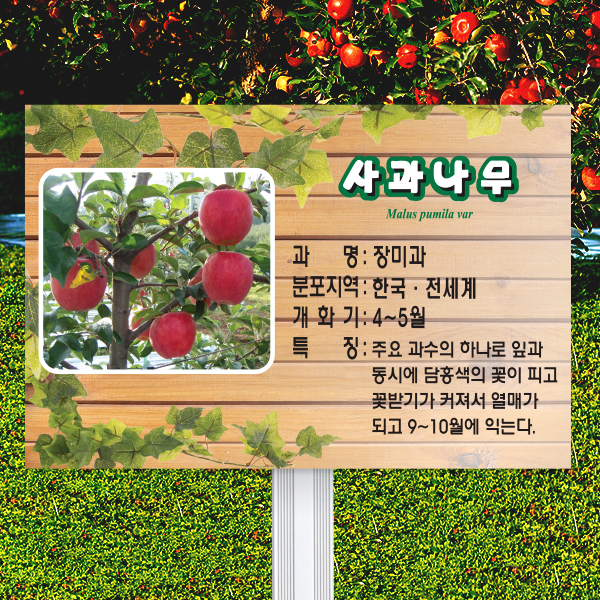 수목표찰 고정형 225x150 알루미늄대 덩굴 사각 꽂이형