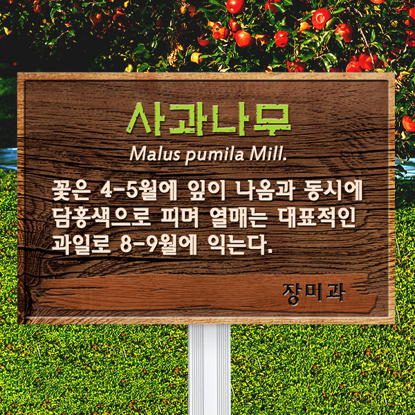 수목표찰 고정형 225x150 <br>알루미늄대 우드효과 사각 <br>꽂이형