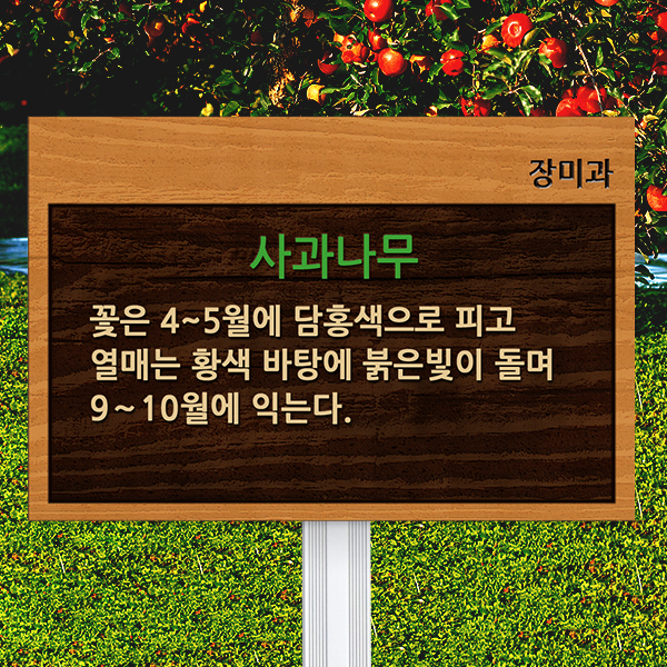 수목표찰 고정형 225x150 알루미늄대 나무무늬 효과 꽂이형