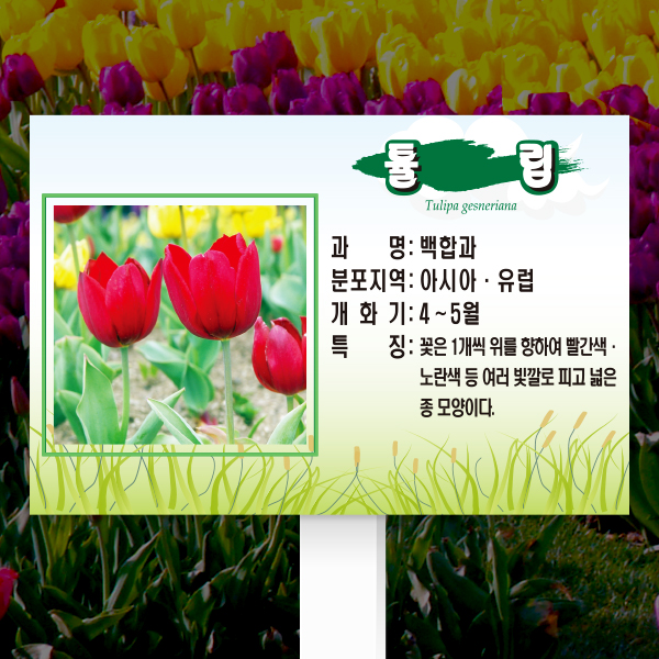 수목표찰 고정형 225x150 포맥스대 풀밭 사각 꽂이형