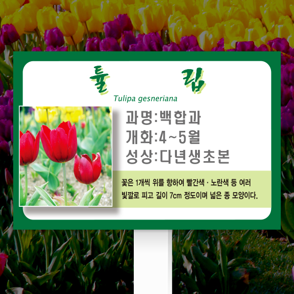 수목표찰 고정형 225x150 포맥스대 녹색테두리 사각 꽂이형