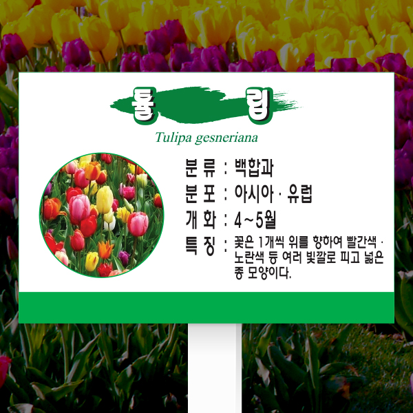 수목표찰 고정형 225x150 포맥스대 녹색띠 사각 꽂이형