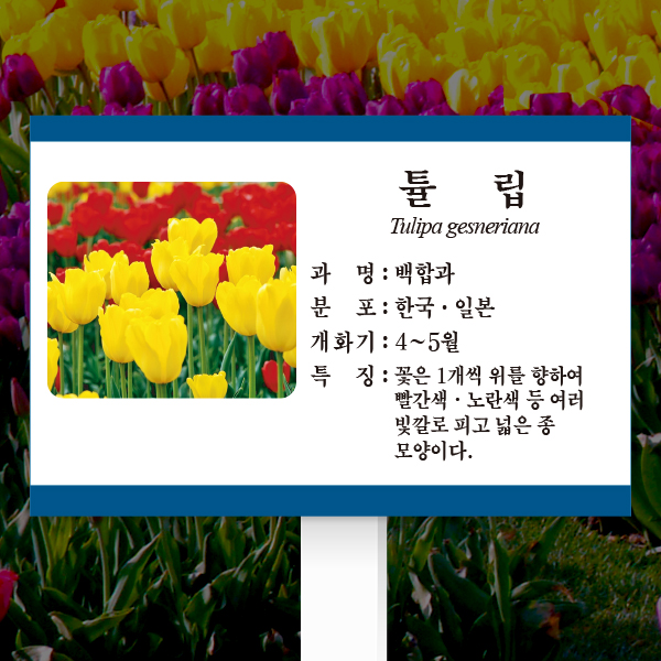 수목표찰 고정형 225x150 포맥스대 청록색띠 사각 꽂이형