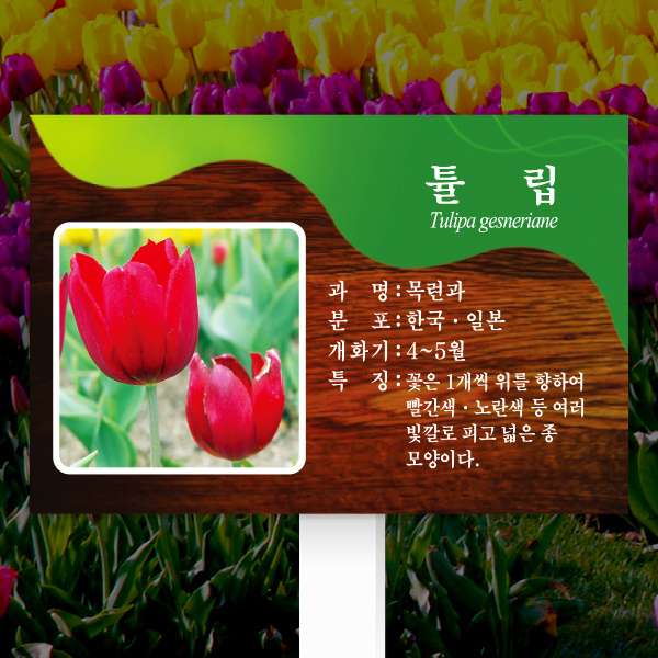 수목표찰 고정형 225x150 포맥스대 체리목 사각 꽂이형