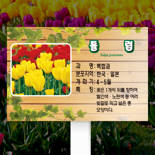 수목표찰 고정형 225x150 포맥스대 덩굴 사각 꽂이형