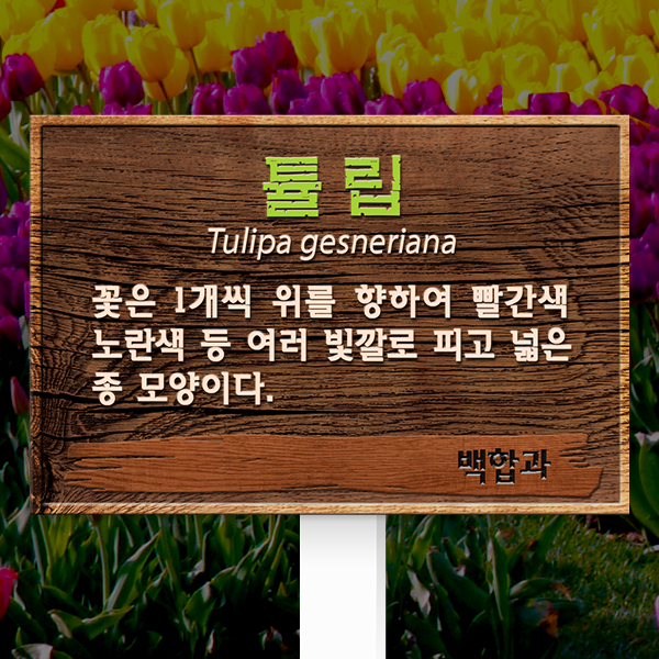 수목표찰 고정형 225x150 포맥스대 우드효과 사각 꽂이형