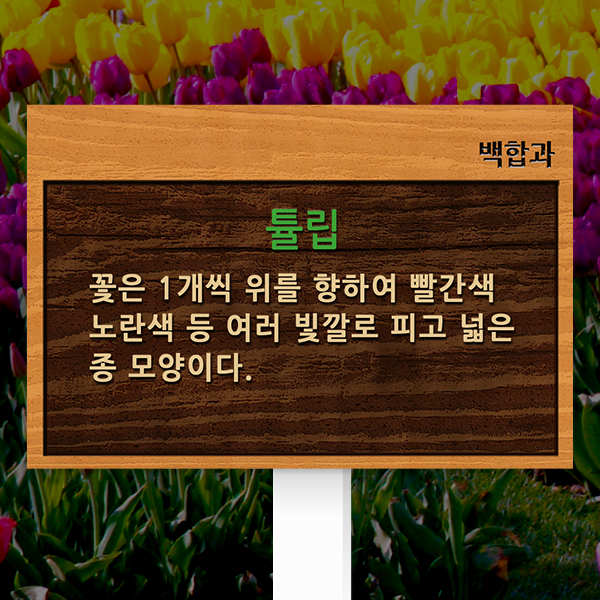 수목표찰 고정형 225x150 포맥스대 나무무늬 효과 꽂이형