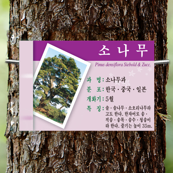 수목표찰 부착형 225x150 보라사각 걸이형 명패