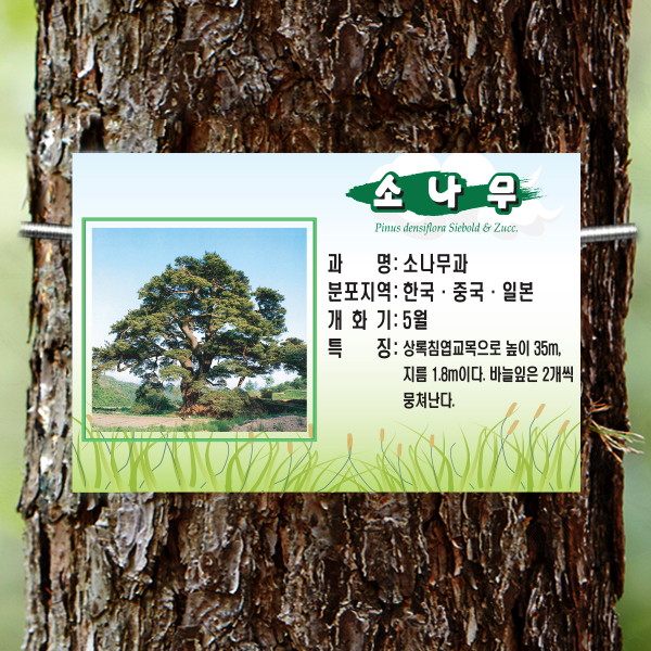 수목표찰 부착형 225x150 풀밭사각 걸이형 명패