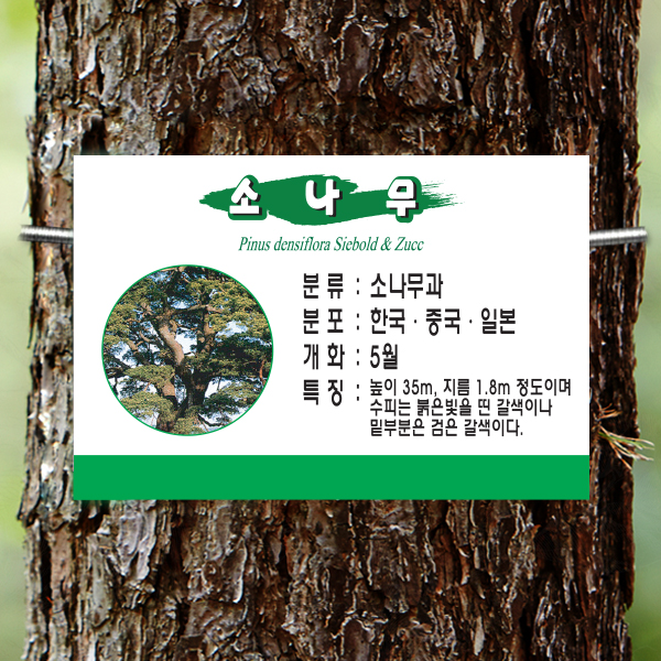 수목표찰 부착형 225x150 녹색띠 사각걸이형 나무이름표