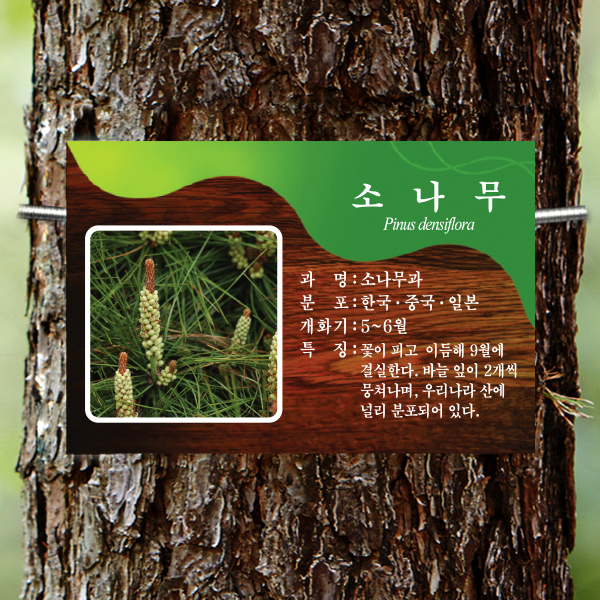 수목표찰 부착형 225x150 체리목사각 걸이형 명패