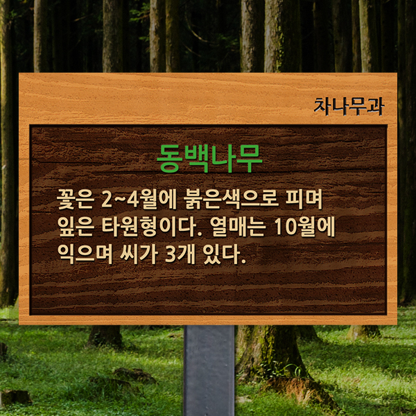 수목표찰 고정형 225x150 스틸검정 나무무늬 효과 꽂이형