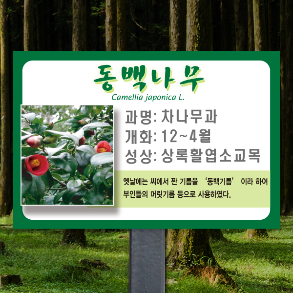 수목표찰 고정형 225x150 스틸검정 녹색테두리 사각 꽂이형