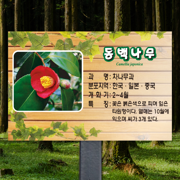 수목표찰 고정형 225x150 스틸검정 덩굴 사각 꽂이형