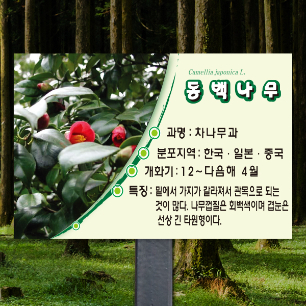 수목표찰 고정형 225x150 스틸검정 라운드 사각 꽂이형