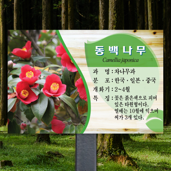 수목표찰 고정형 225x150 스틸검정 미송 사각 꽂이형