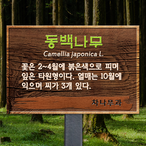 수목표찰 고정형 225x150 스틸검정 우드효과 사각 꽂이형