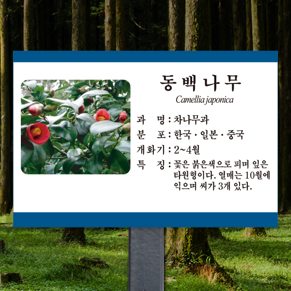 수목표찰 고정형 225x150 스틸검정 청록색띠 사각 꽂이형