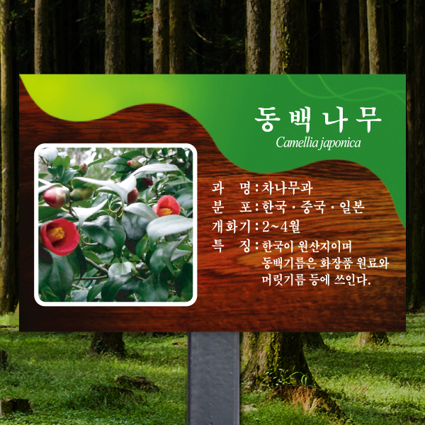 수목표찰 고정형 225x150 스틸검정 체리목 사각 꽂이형