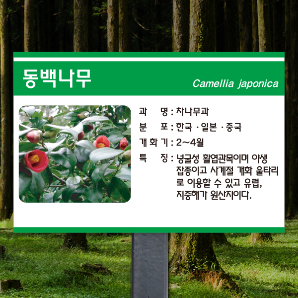 수목표찰 고정형 225x150 스틸검정 초록3띠 사각 꽂이형