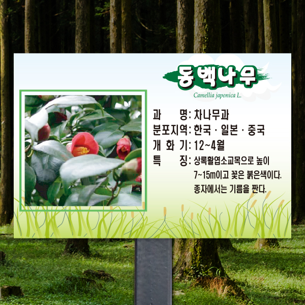 수목표찰 고정형 225x150 스틸검정 풀밭 사각 꽂이형