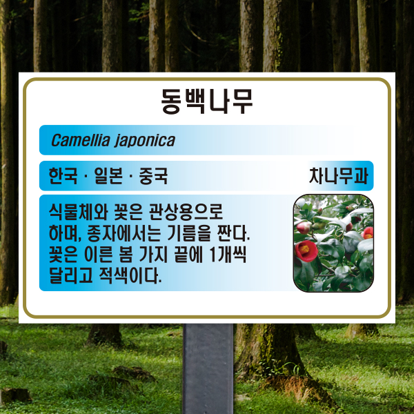 수목표찰 고정형 225x150 스틸검정 하늘색 사각 꽂이형