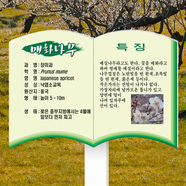 수목표찰 고정형 258x182 포맥스대 책모양 꽂이형