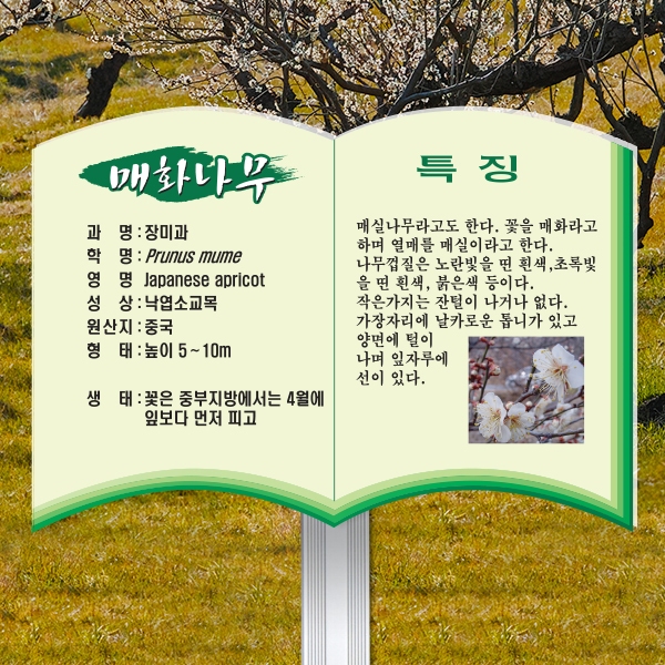 수목표찰 고정형 258x182 알루미늄대 책모양 꽂이형