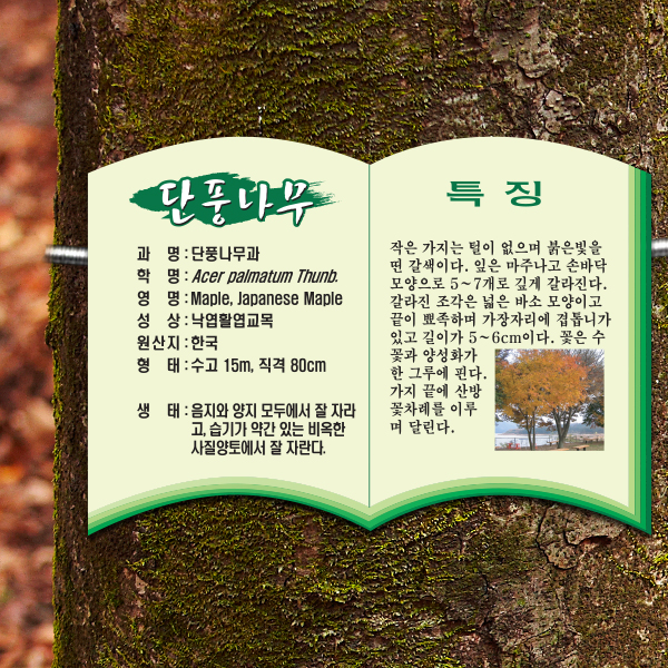 수목표찰 부착형 258x182 책모양 걸이형 명패