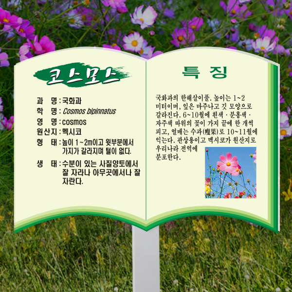 수목표찰 고정형 258x182 스틸대 책모양 꽂이형