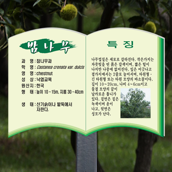 수목표찰 고정형 258x182 스틸검정 책모양 꽂이형