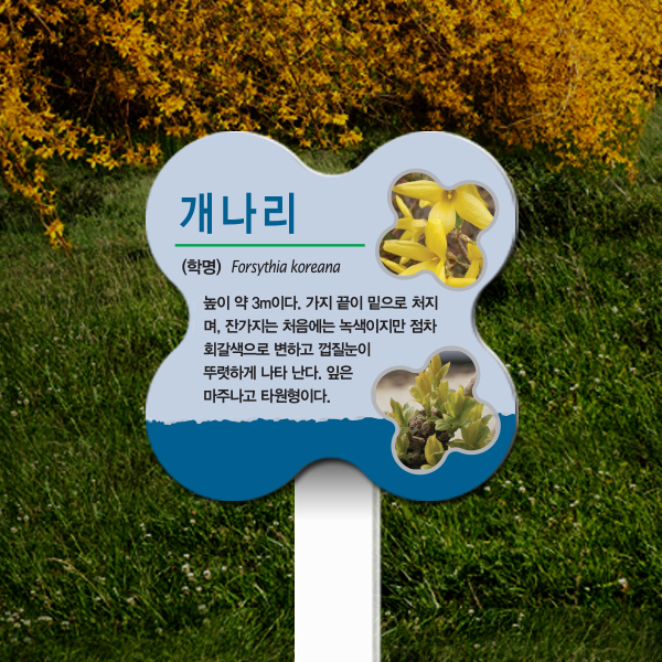 수목표찰 고정형 196x196 포맥스대 꽃모양 꽂이형