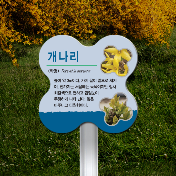 수목표찰 고정형 196x196 알루미늄대 꽃모양 꽂이형