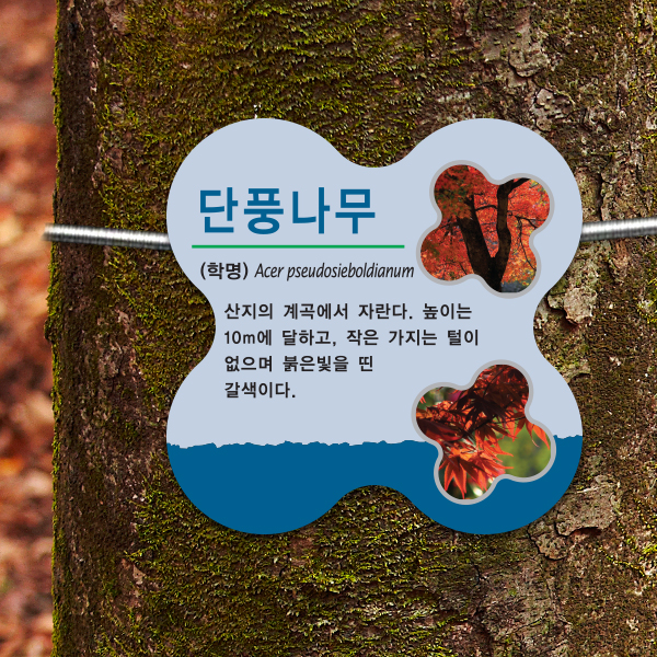 수목표찰 부착형 196x196 꽃모양 걸이형 명패