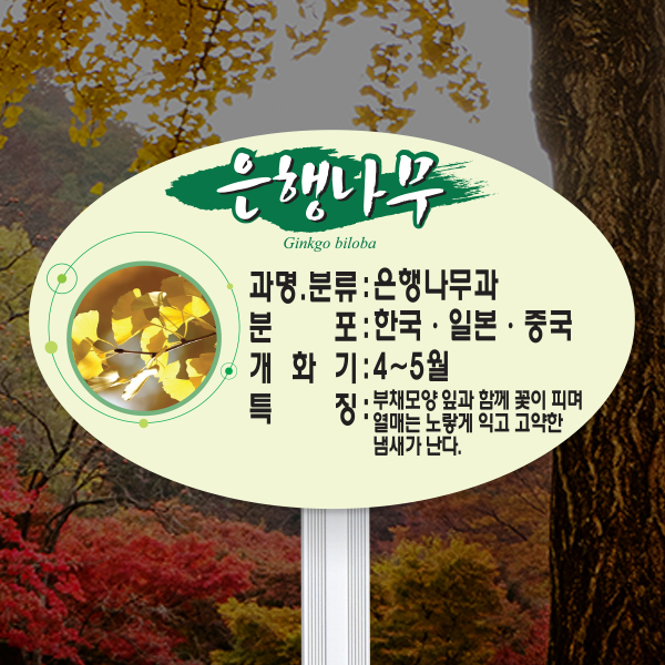 수목표찰 고정형 264x165 알루미늄대 단아체 타원 꽂이형
