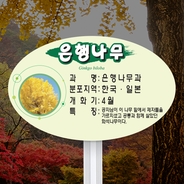 수목표찰 고정형 264x165 알루미늄대 평붓체 타원 꽂이형