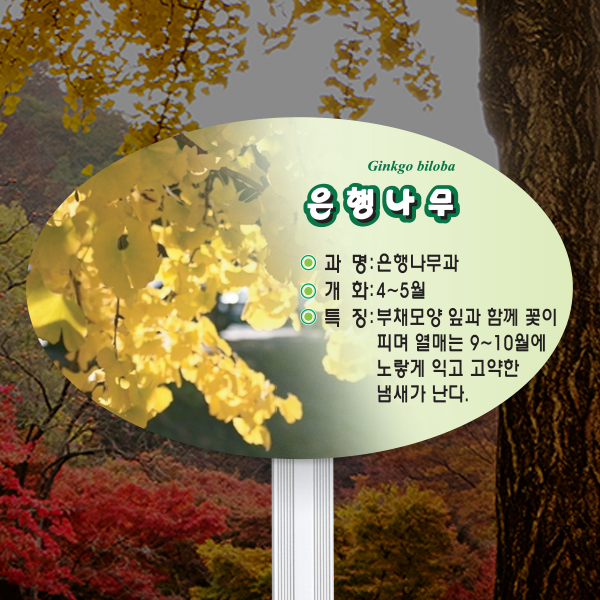 수목표찰 고정형 264x165 알루미늄대 포샵사진 타원 꽂이형