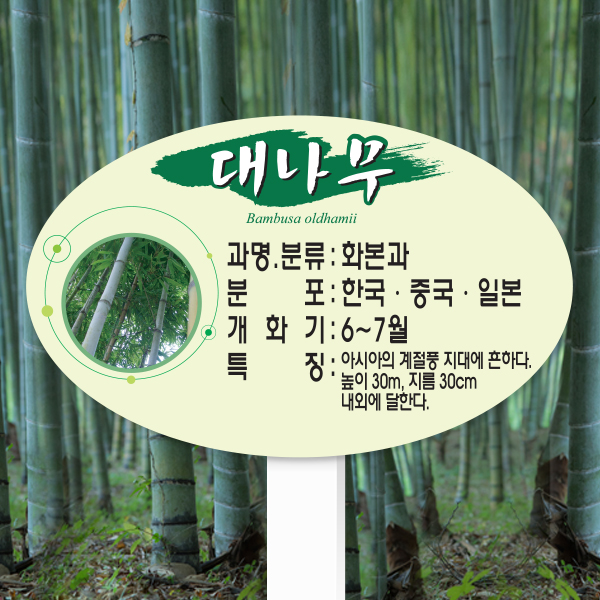 수목표찰 고정형 264x165 포맥스대 단아체 타원 꽂이형