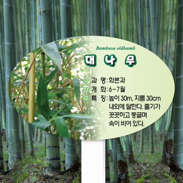 수목표찰 고정형 264x165 포맥스대 포샵사진 타원 꽂이형