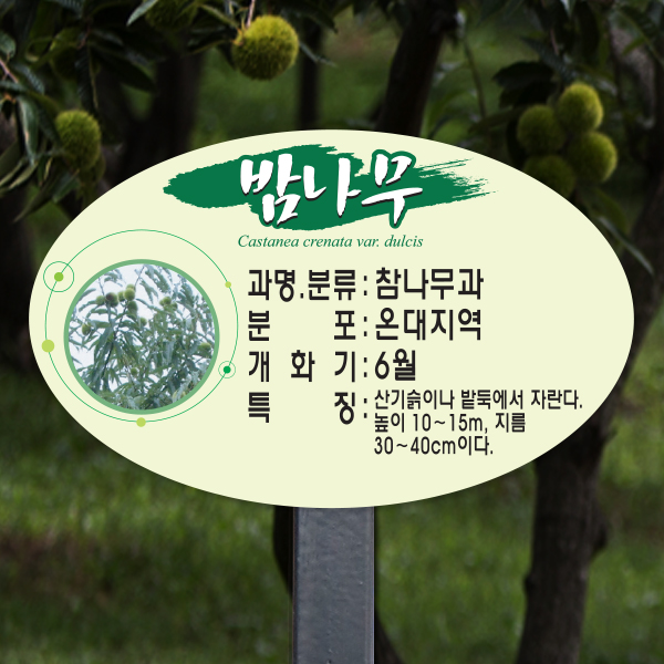 수목표찰 고정형 264x165 스틸검정 단아체 타원 꽂이형
