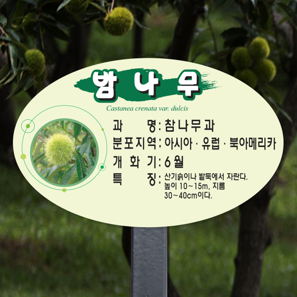 수목표찰 고정형 264x165 스틸검정 평붓체 타원 꽂이형