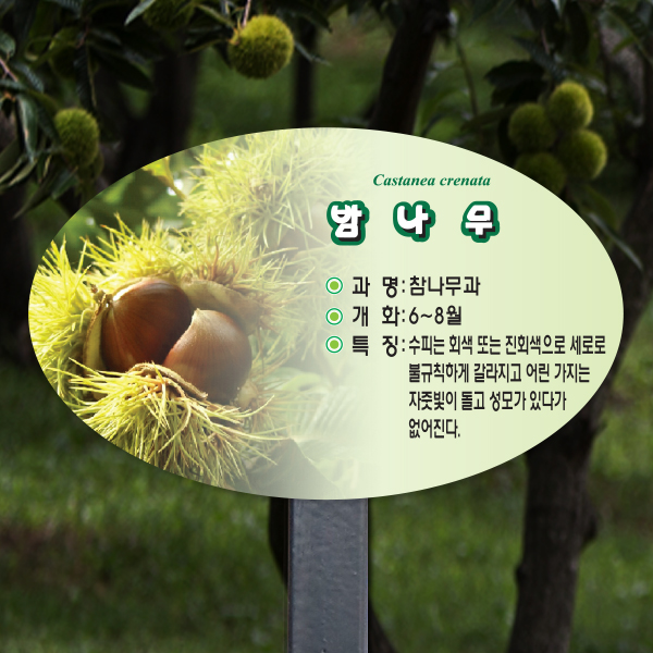 수목표찰 고정형 264x165 스틸검정 포샵사진 타원 꽂이형