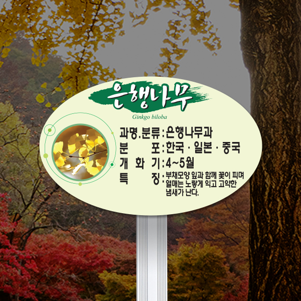수목표찰 고정형 160x100 알루미늄대 단아체 타원 꽂이형