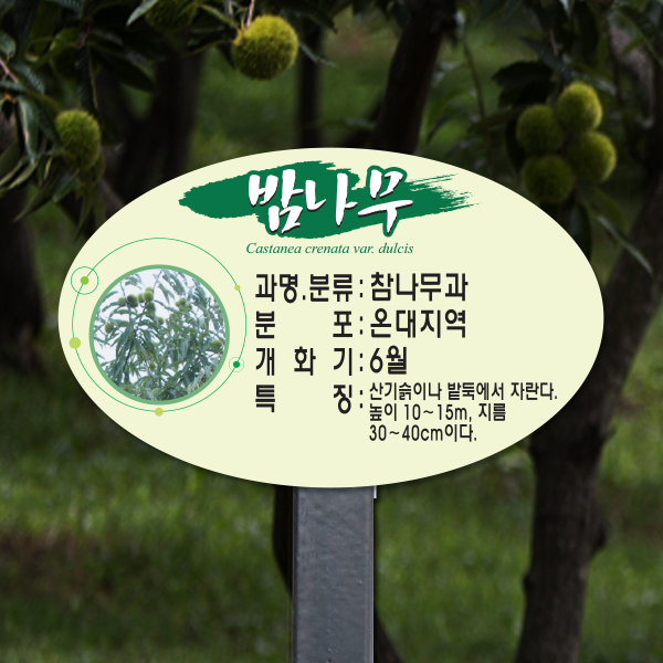수목표찰 고정형 200x125스틸검정 단아체 타원 꽂이형