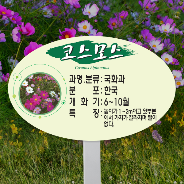 수목표찰 고정형 264x165 스틸대 단아체 타원 꽂이형