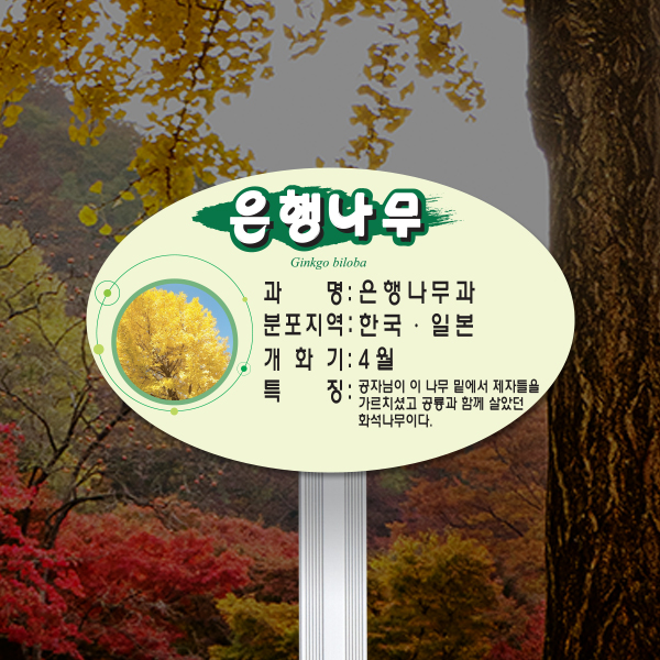 수목표찰 고정형 160x100 알루미늄대 평붓체 타원 꽂이형
